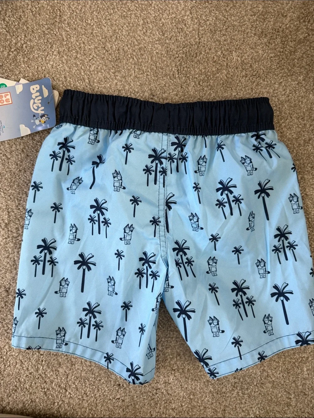NWT Boys Bluey Swim Trunks with lining size 5T